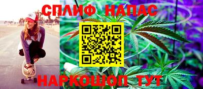 гидропоника Ставрополь