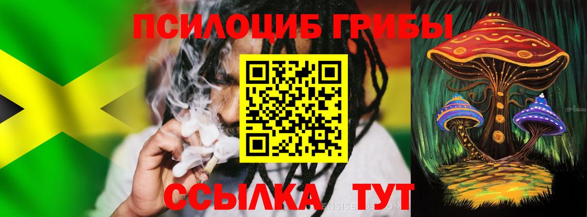 Ноябрьск  Псилоцибиновые грибы Magic Shrooms  Вход с VPN 